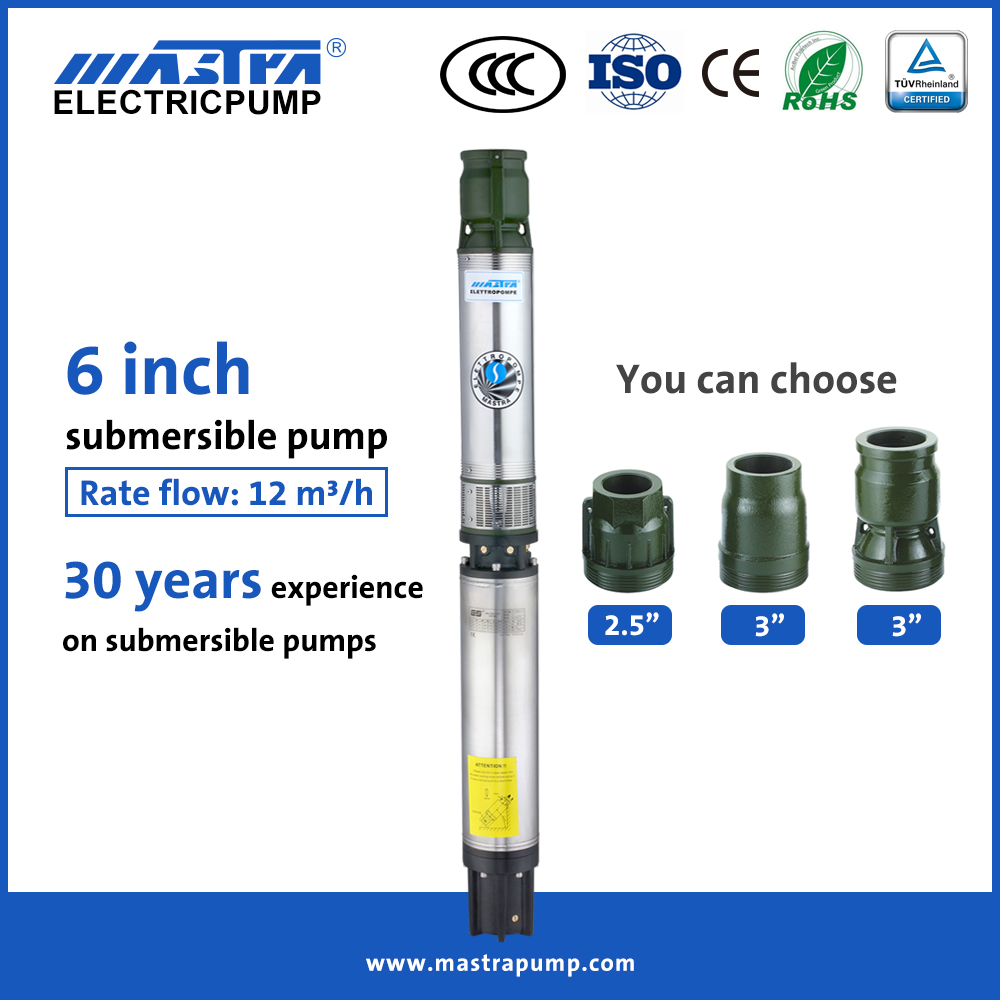 MASTRA 6 pouces 600 Gph Pompe submersible R150-BS Pompe à eau d'irrigation submersible