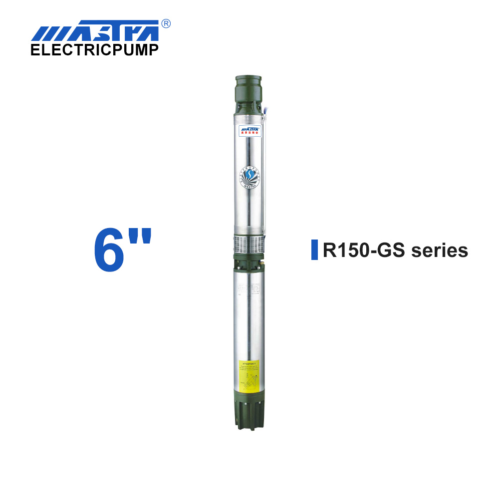 Pompe submersible Mastra 6 pouces 60 Hz - Pompes de forage ebara série R150-GS