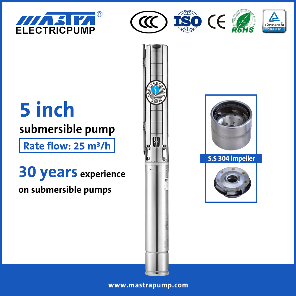 MASTRA 5 pouces All en acier inoxydable Pompe à eau agricole 5sp 220 volt Pompe à eau submersible