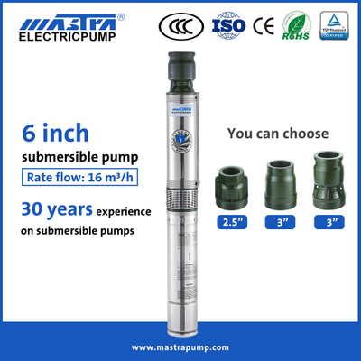 Fournisseur de pompe de puits submersible Mastra 6 pouces tête de pompe de puits profond en acier inoxydable R150-CS