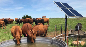 solar-water-pump-livestock.jpg