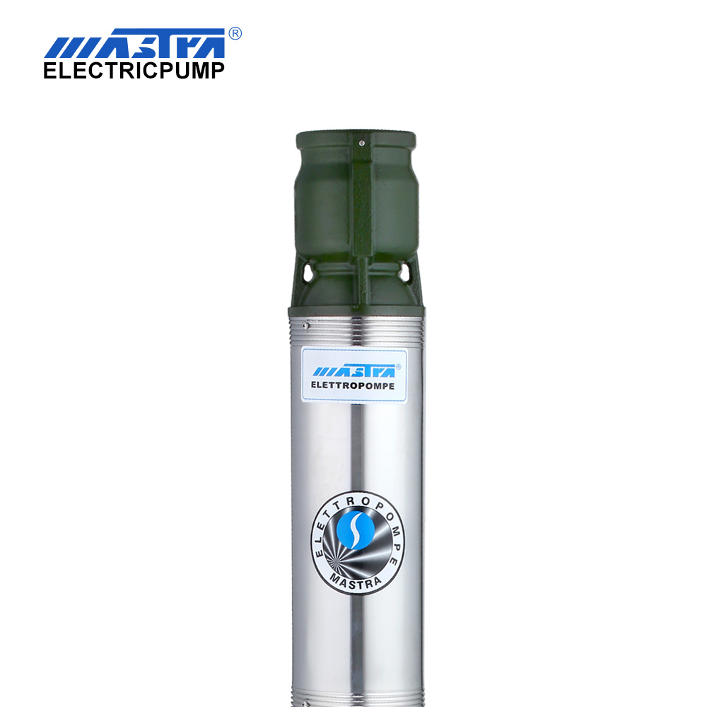 MASTRA 6 pouces Deep Well Pump Kit R150-FS Pompe en acier inoxydable